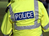 Police investigate shoplifting and assault allegation