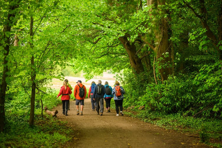 Walkers on a path