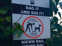 Saundersfoot councillors urge public to report dog fouling