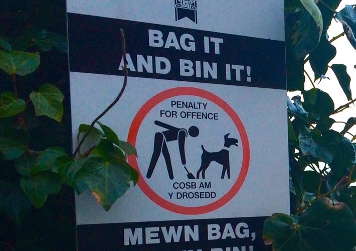 Dog fouling sign