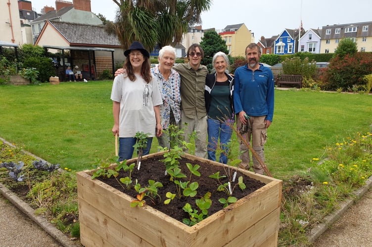 Tenby Edible Garden