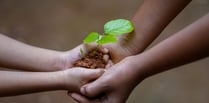 Tree planting and festive fun at Cilrath Acre