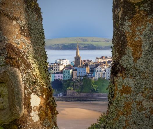 The church through the trees, Tenby by Dave Bolton