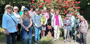 Steps2Health walking club enjoys glorious Pembrokeshire summer