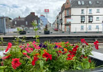 Could you help maintain Tenby Railway Station planters?
