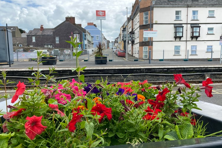 Colourful planter at Tenby Railway Station