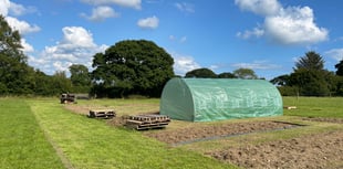 New allotments for local community created in Amroth