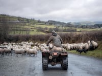 New agricultural support scheme branded a 'shambles'