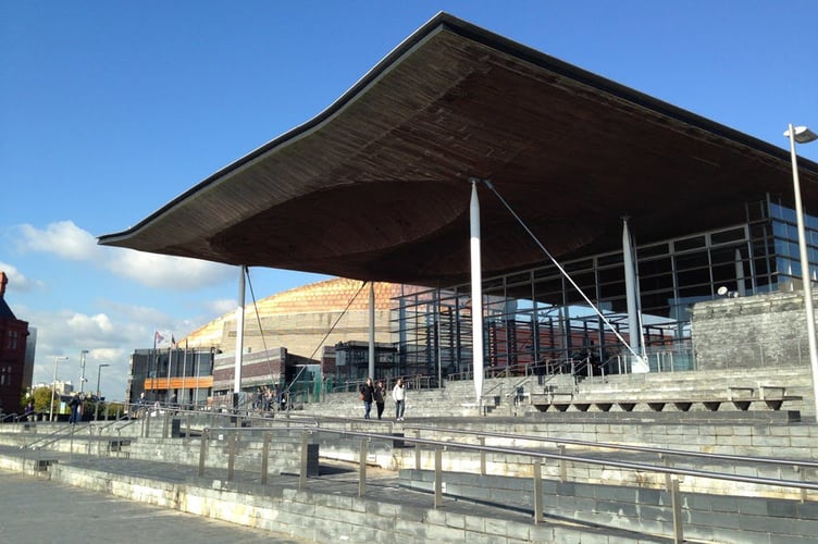 Senedd stock