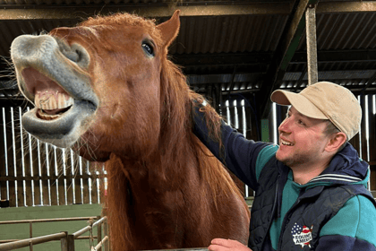 Folly Farm welcomes new arrival Lily