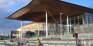 Calls for Senedd 'sin bin' system