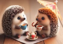 Summerhill WI has a prickly time with Hedgehog Hogspital’s Cherry Cake and Cup Cake