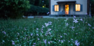 Six home maintenance jobs you should do this summer 