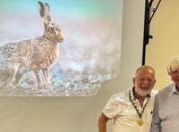 Photographer of the Year accolade for Dave Bolton