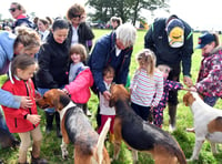 Pembroke Town & Country Show, Lamphey, Wednesday August 7, 2024