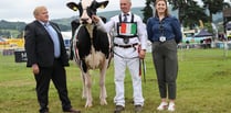 Royal Welsh Show: Sioe'r Cardis hailed a resounding success