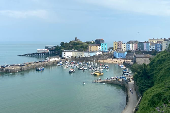 Tenby harbour 2024