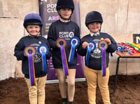 Local Mini Horse & Pony Care Team heads to international championship