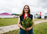 Free Welsh lessons for young people and teachers