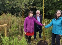 Willow Garden officially opened at Withybush Hospital